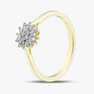 Pure Brilliance 9ct Yellow Gold 0.15ct Diamond Flower Cluster Ring THR48444-15 (YG)