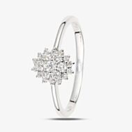 9ct White Gold 0.25ct Diamond Cluster Ring DR1673W