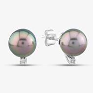 18ct White Gold Tahitian Pearl & Diamond Stud Earrings EOX70034DD/TA