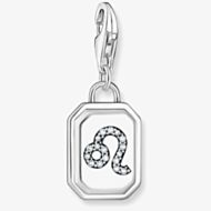 THOMAS SABO Silver Octagonal Cubic Zirconia Leo Charm 2150-643-21