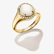 THOMAS SABO Fluid Elegance 18ct Yellow Gold Plated Mother of Pearl Halo Signet Ring TR2542-M01-14