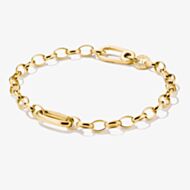THOMAS SABO Charm Club Connect Yellow Gold Tone Plated Charm Bracelet C1202-S02-39