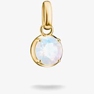 THOMAS SABO Charm Club Connect 18ct Yellow Gold Plated June Birthstone Charm CC1334-M01-14