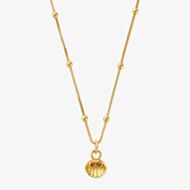 ChloBo Gold Plated Bobble Chain Travel Seeker Shell Necklace GNBB3403