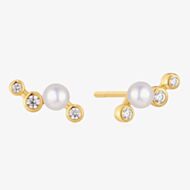Ania Haie Starlit Drops 14ct Gold Plated Zig-Zag Shell Pearl Stud Earrings E074-11G