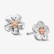 Clogau Forget Me Not Stud Earrings 3SFMN0621