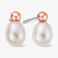 Clogau Welsh Beachcomber Stud Earrings 3SBCH0632