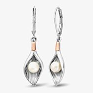 Clogau Natures Wonder Pearl Shell Earrings 3SLYV0791