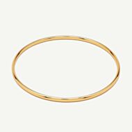 D.Louise Yellow Gold Tone Plated Stainless Steel Classic S/M Bangle SKB-09-02