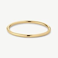 D.Louise Yellow Gold Tone Plated Stainless Steel Classic Oval S/M Bangle YBB-014-01