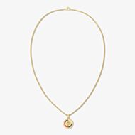 Tommy Hilfiger Yellow Gold Tone Plated Compass Pendant 2790721