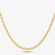 9ct Yellow Gold 20 Inch Belcher Chain HRBP-400-9Y-20