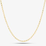9ct Yellow Gold Round Belcher Chain SRBP-230-9Y
