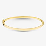 9ct Yellow Gold 3mm Tube Bangle 1.31.2111