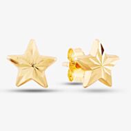 9ct Yellow Gold Star Stud Earrings 1551483