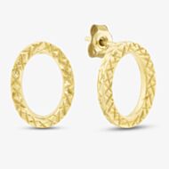 9ct Gold Open Oval Pattern Studs ER283