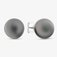 18ct White Gold Dark Grey Pearl Stud Earrings EOX150TA DRK GRY