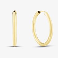 9ct Yellow Gold 22.5mm Hollow-Tube Hoop Earrings 1.51.2579