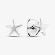 Fashionista Silver Sterling Silver Star Stud Earrings CEC3827XX0000R1