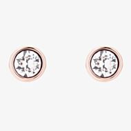 Ted Baker Sinaa Rose Gold Finish Crystal Stud Earrings TBJ1084-24-02
