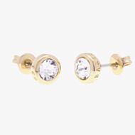Ted Baker Sinaa Gold Finish Crystal Stud Earrings TBJ1084-02-02