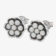 Lucy Quartermaine Silver Royal Pearl Freshwater Pearl Flower Stud Earrings RS1