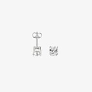 Fred Bennett Mens Silver Crystal Stud Earrings E2657C