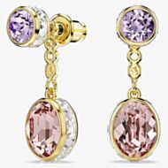 Swarovski Chroma Gold Tone Plated Changeable Crystal Drop Earrings 5738478