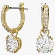 Swarovski Ladies Constella Gold Plated Hoop Dropper Earrings 5638802
