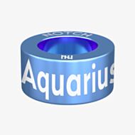 Notch Zodiac Aquarius Blue Charm 00133-TU