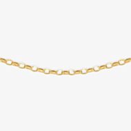 9ct Yellow Gold Oval Belcher Chain 1.14.5814