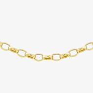 9ct Yellow Gold Oval Belcher Chain 1.14.5854