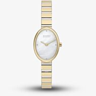 Skagen Ladies Anita Oval Two-Hand Two-Tone Bracelet Watch SKW3183
