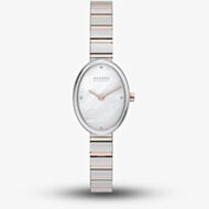 Skagen Ladies Anita oval Two-Hand Two-Tone Bracelet Watch SKW3184