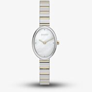 Skagen Ladies Anita Oval Two-Hand Two-Tone Bracelet Watch SKW3198