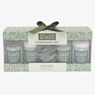 William Morris Acorn Pampering Gift Set LP76398A