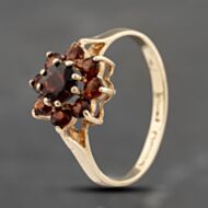 Pre-Owned 9ct Yellow Gold Garnet Cluster Ring 41103628