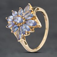 Pre-Owned 9ct Yellow Gold Tanzanite Cluster Ring 41104038