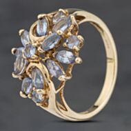Pre-Owned 9ct Yellow Gold Tanzanite Cluster Ring 41104039