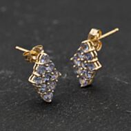 Pre-Owned Yellow Gold Tanzanite Cluster 12.4mm Stud Earrings 41174439