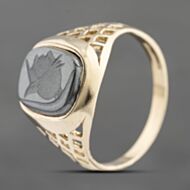 Pre-Owned 9ct Yellow Gold Hematite Oblong Signet Ring 41342148