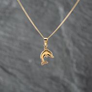 Pre-Owned 9ct Yellow Gold Dolphin Pendant & 18 Inch Curb Chain 43141288