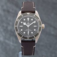 Pre-Owned Tudor Black Bay 58 Watch M79010SG-0001