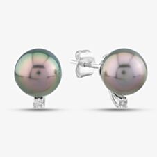 18ct White Gold Tahitian Pearl & Diamond Stud Earrings EOX70034DD/TA