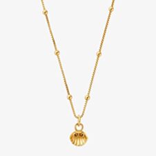 ChloBo Gold Plated Bobble Chain Travel Seeker Shell Necklace GNBB3403