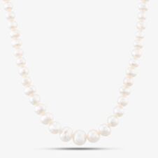 9ct Gold 16 Inch Graduated Freshwater Pearl Necklace POZ827SD