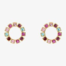Ted Baker HALIANA Halo Crystal Stud Earrings TBJ3812-02-01
