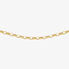 9ct Yellow Gold Oval Belcher Chain 1.14.5814