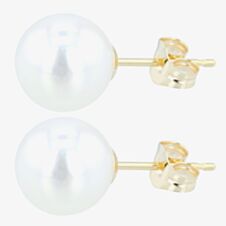 9ct 7.5 x 8mm Akoya Pearl Stud Earrings EOZ108PL