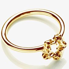 Rachel Galley Gold Plated Mini Star Ring S300YGMD 